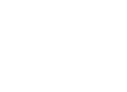 Instituto Leo